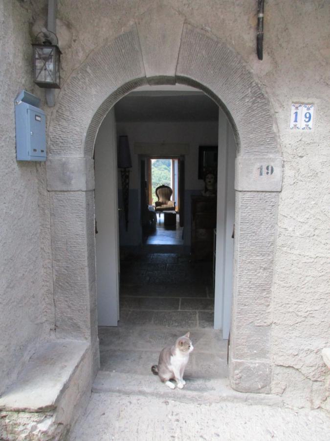 Comano Viandanti, Artisti E Sognatori住宿加早餐旅馆 外观 照片